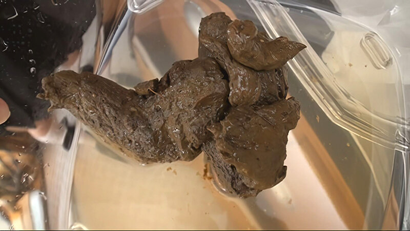 「【素人美女】恥じらい脱糞・放尿プレイ動画|羞恥プレイ好き必見のスカトロ作品」のサンプル画像15枚目