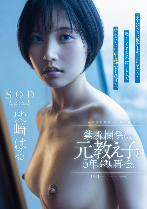 「柴崎はる 初ベスト総集編!SOD女子社員から人気女優へ22作品10時間スペシャル完全保存版」のサンプル画像19枚目